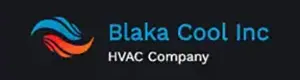 Blaka Cool Inc Image Logo