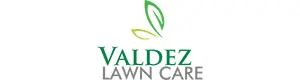 Valdez Lawn care LLC/landscaping services Image Logo