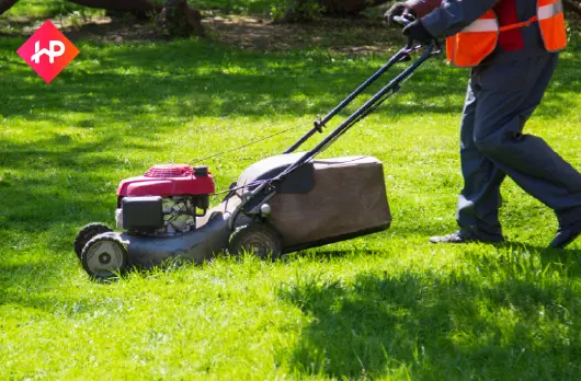 Lawn Care