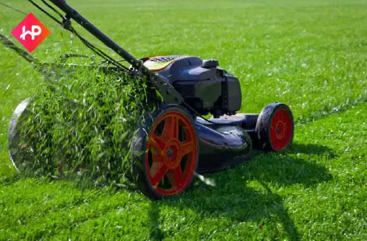 Lawn Care